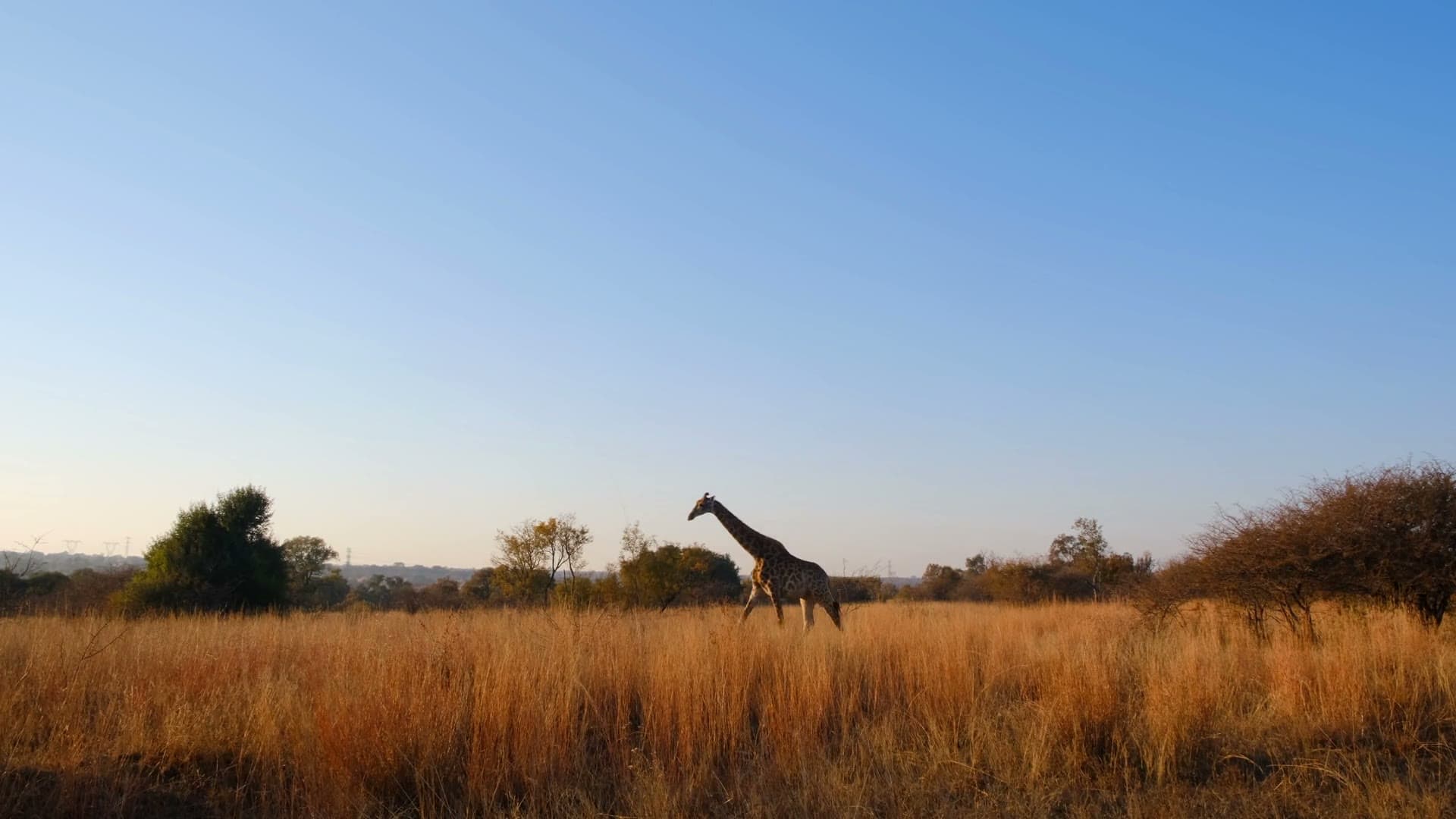 Kenya