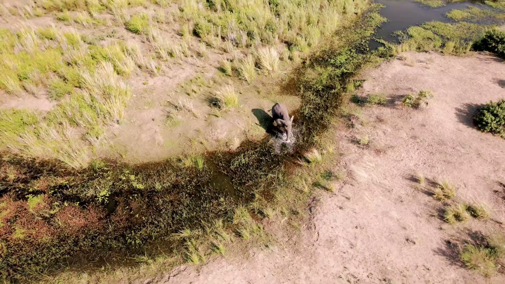 The birthplace of the walking safari, and Africa's quietest wilderness