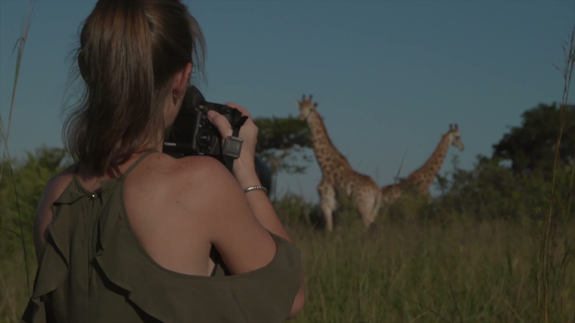 A photographer capturing giraffes on a photography safari