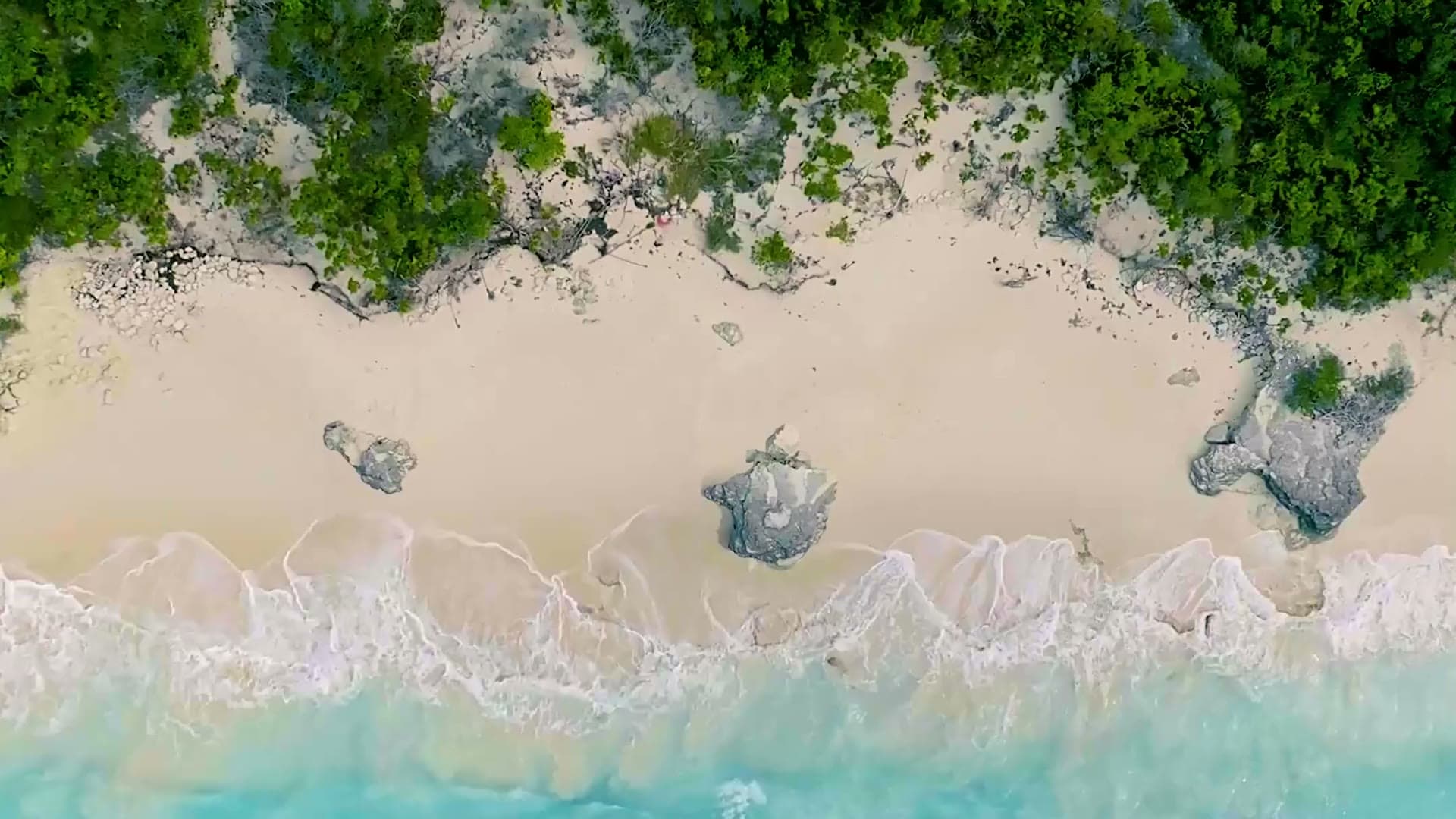 Aerial view of a turquoise cove where lush treeline meets white sand and breaking surf