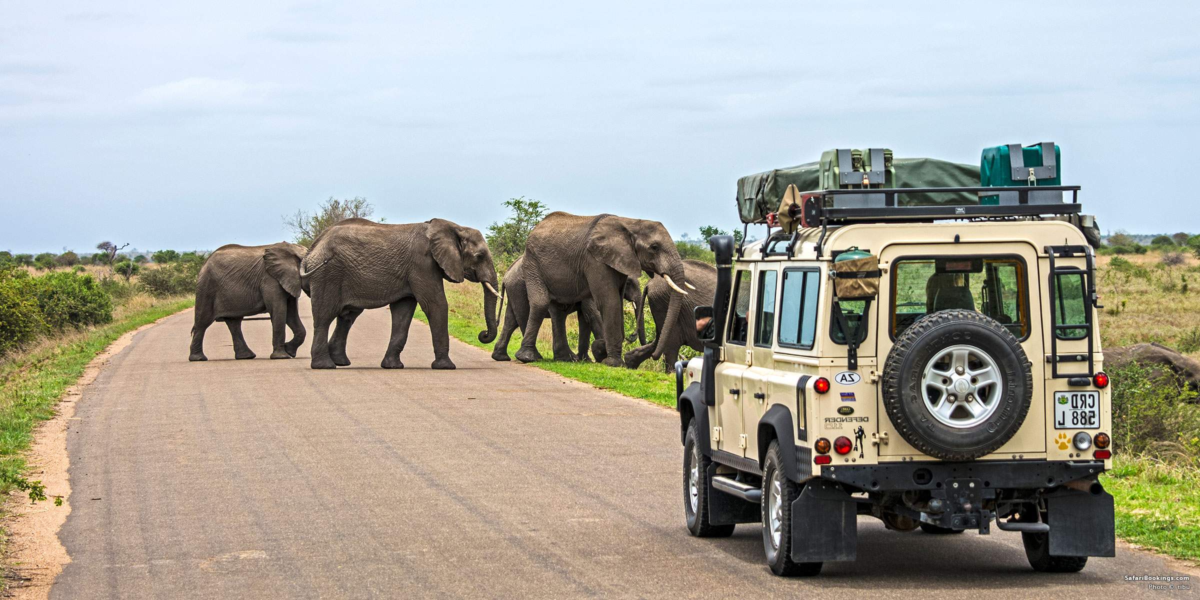A week immersed in the bush, tracking the Big Five