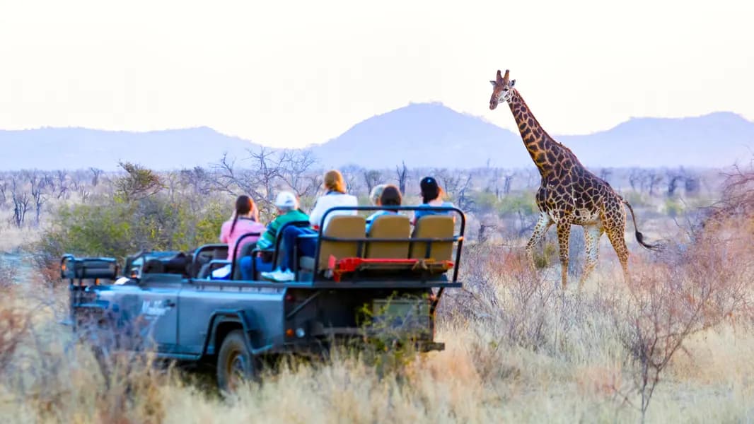 A game reserve landscape under golden light
