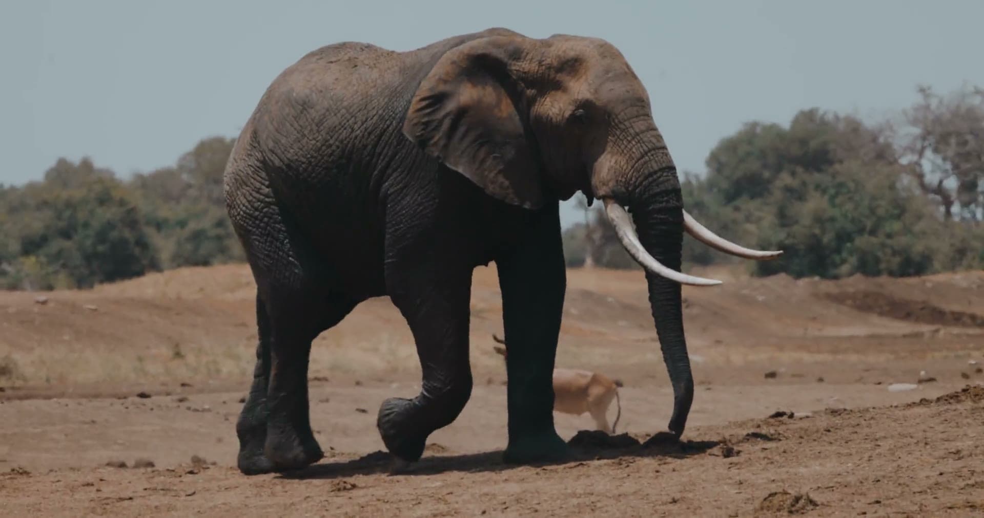 Welcome to the Rainbow Nation, a melting pot of landscapes, people & culture