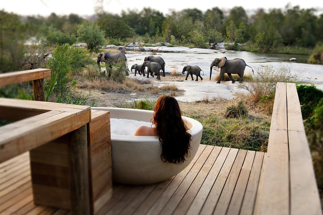 Soaking tub overlooking a herd of elephants at a safari lodge