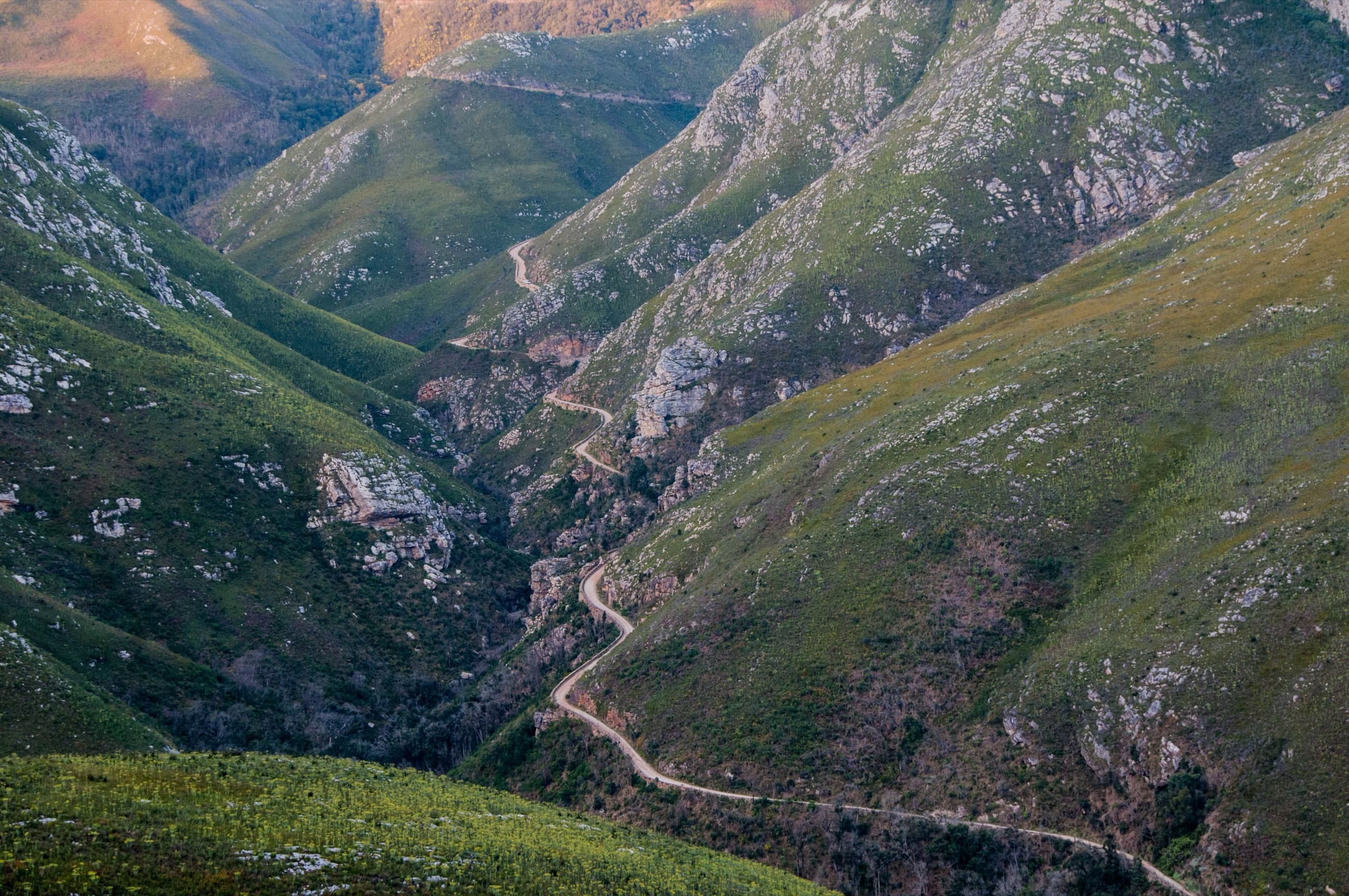 A winding mountain pass road through the Garden Route's forested hills